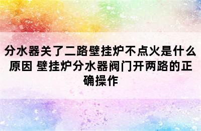 分水器关了二路壁挂炉不点火是什么原因 壁挂炉分水器阀门开两路的正确操作